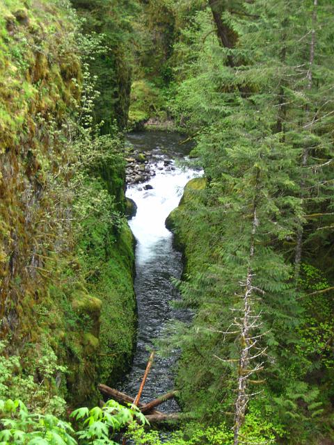 Eagle Creek-135.JPG - Eagle Creek